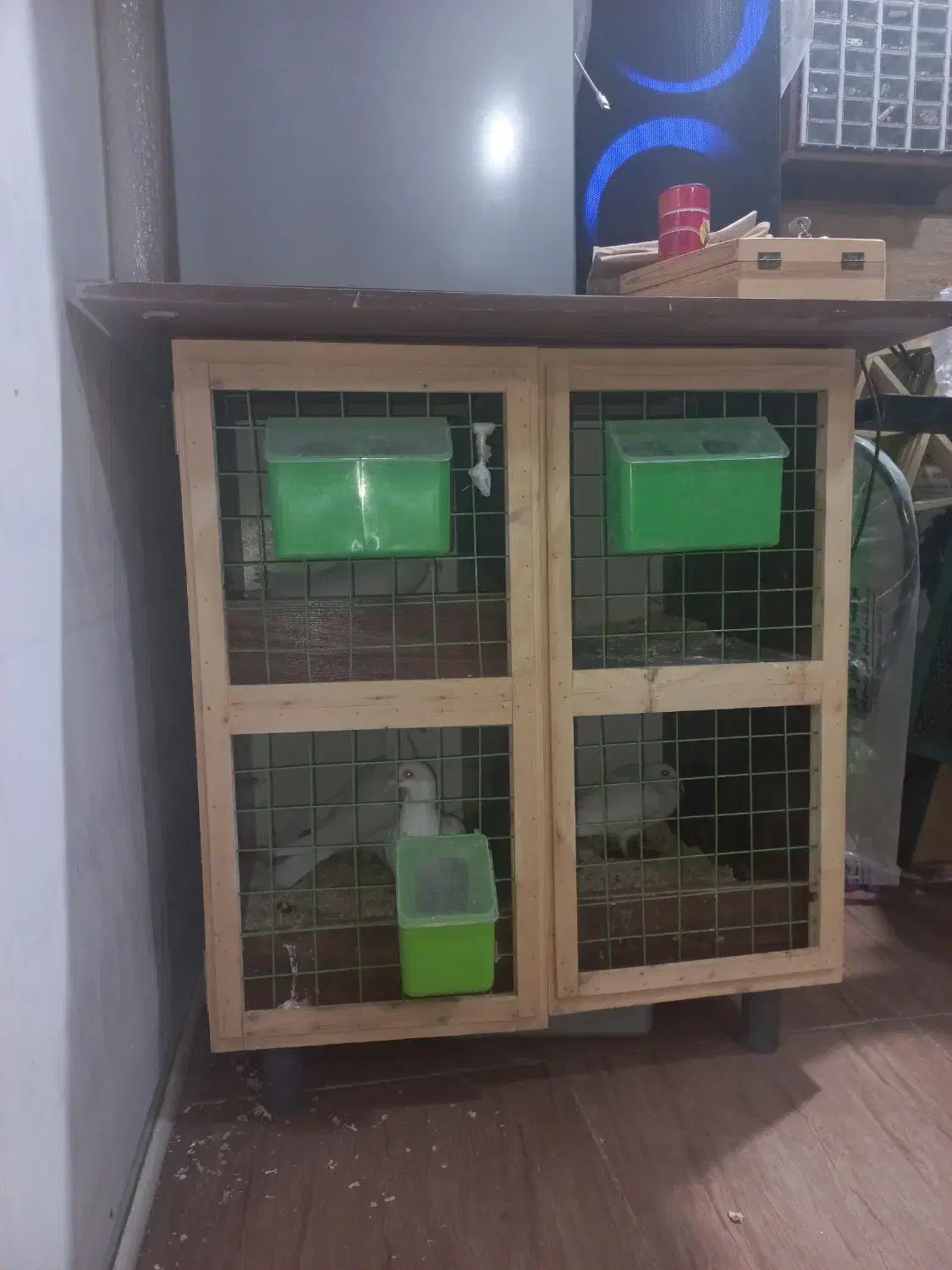 جفت کن|لوازم جانبی حیوانات|کرمان, |دیوار