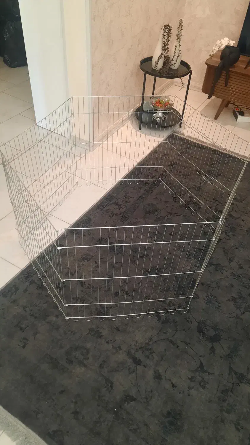 باکس سگ و گربه|لوازم جانبی حیوانات|پردیس, فاز ۱۱|دیوار