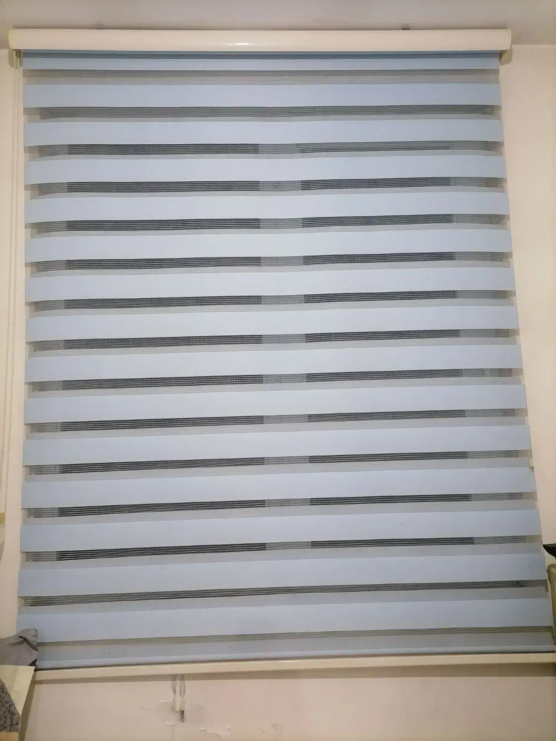 پرده زبرا|پرده، رانر، رومیزی|مشهد, گلبرگ|دیوار