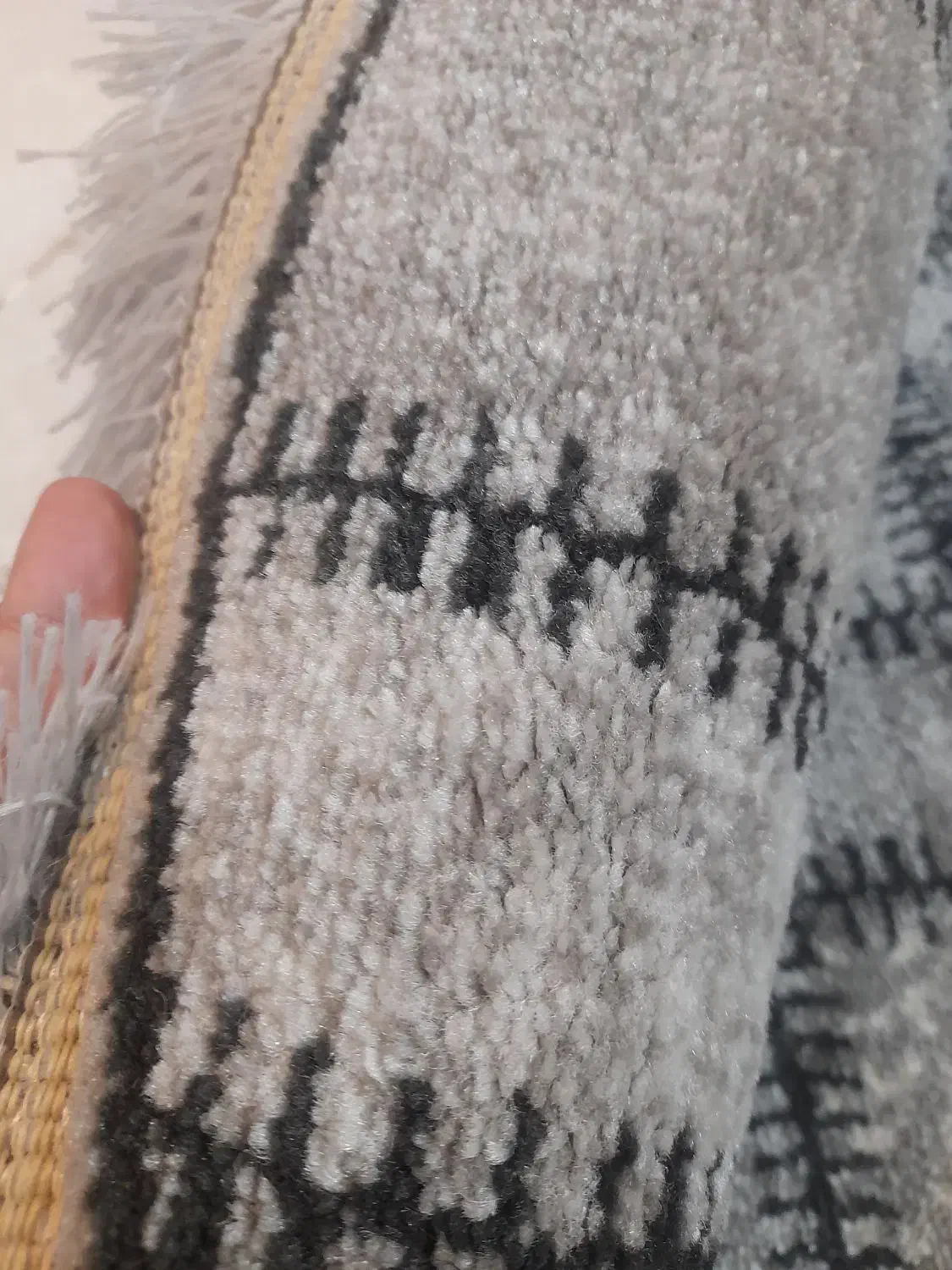 پادری گرد طوسی|پادری|تربت جام, معدآباد|دیوار