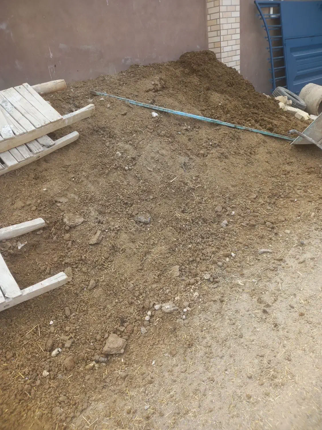 زل مرغ کود گوسفندگاو|گل و گیاه طبیعی|خمینی‌شهر, |دیوار