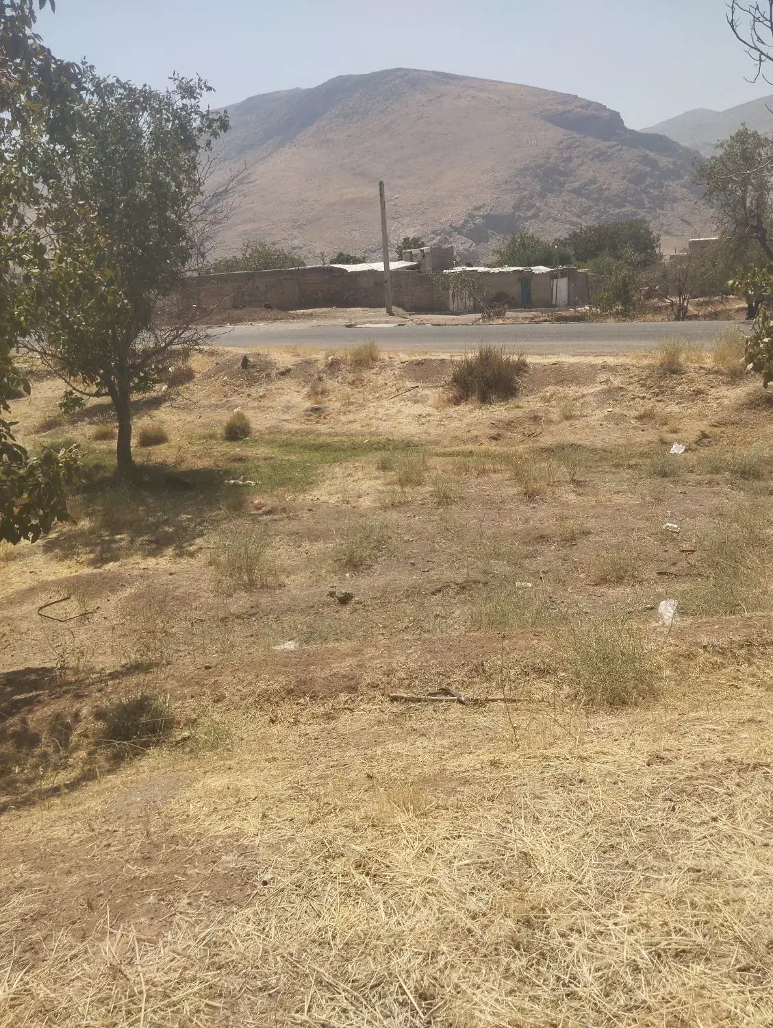 زمین مرغوب درجه بغل روستاوکتارجاده اصلی|فروش زمین و ملک کلنگی|دینور, |دیوار