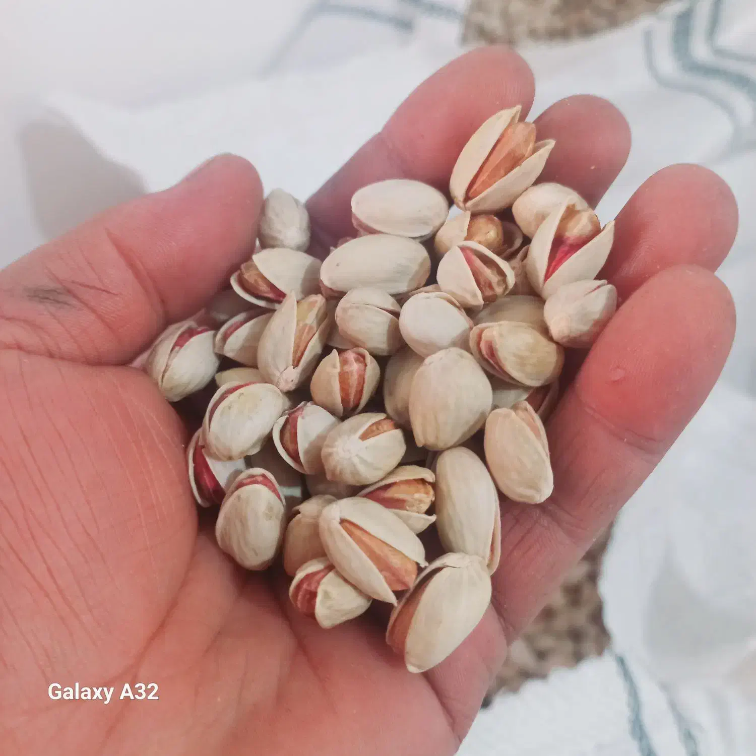 پسته احمد آقایی خندون|خوردنی و آشامیدنی|سروستان, |دیوار