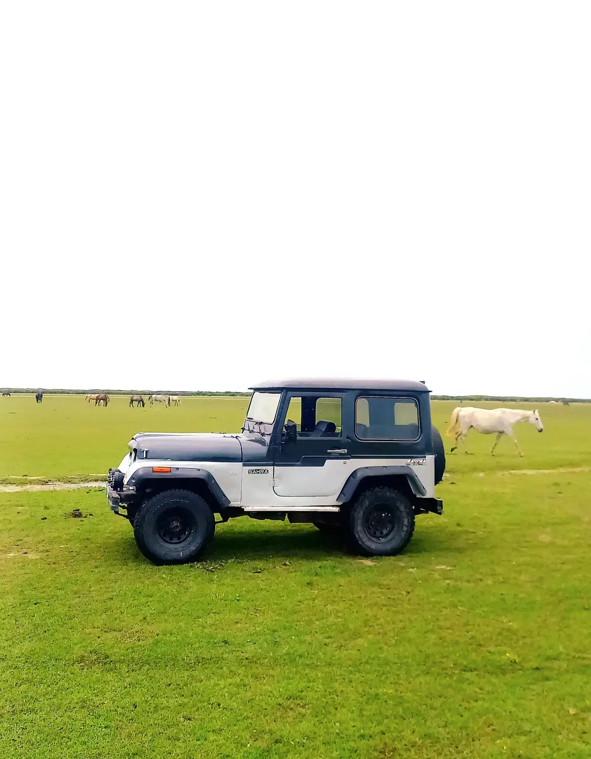 جیپ صحرا کولردار|خودرو سواری و وانت|رشت, سعدی (تختی)|دیوار