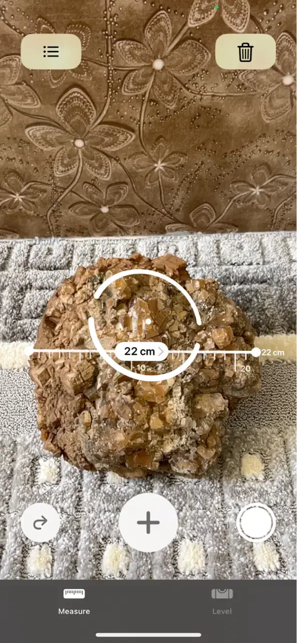 سنگ سلستین بژ قهوه ای|ماهی|دالاهو, |دیوار