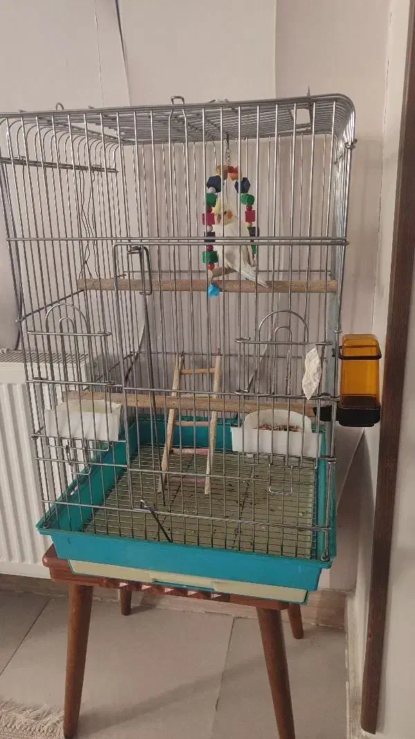 قفس|لوازم جانبی حیوانات|باغستان, |دیوار