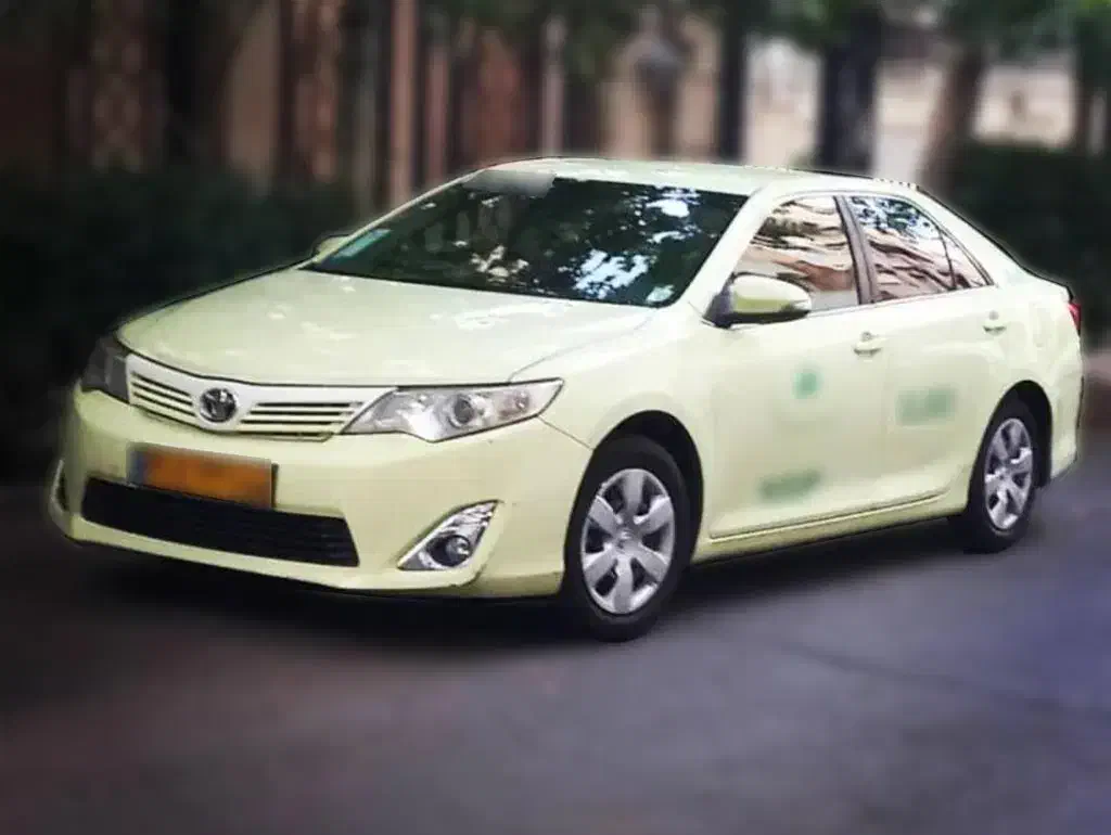 مسافر برای مشهد|خدمات حمل و نقل|بیرجند, |دیوار