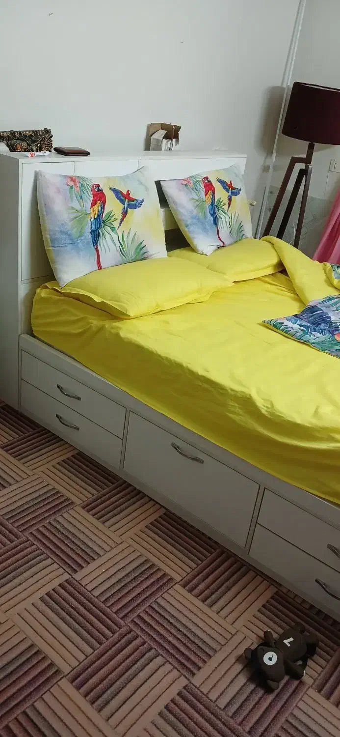 تخت دونفره|تخت و سرویس خواب|هشتگرد, شهرک آپادانا|دیوار