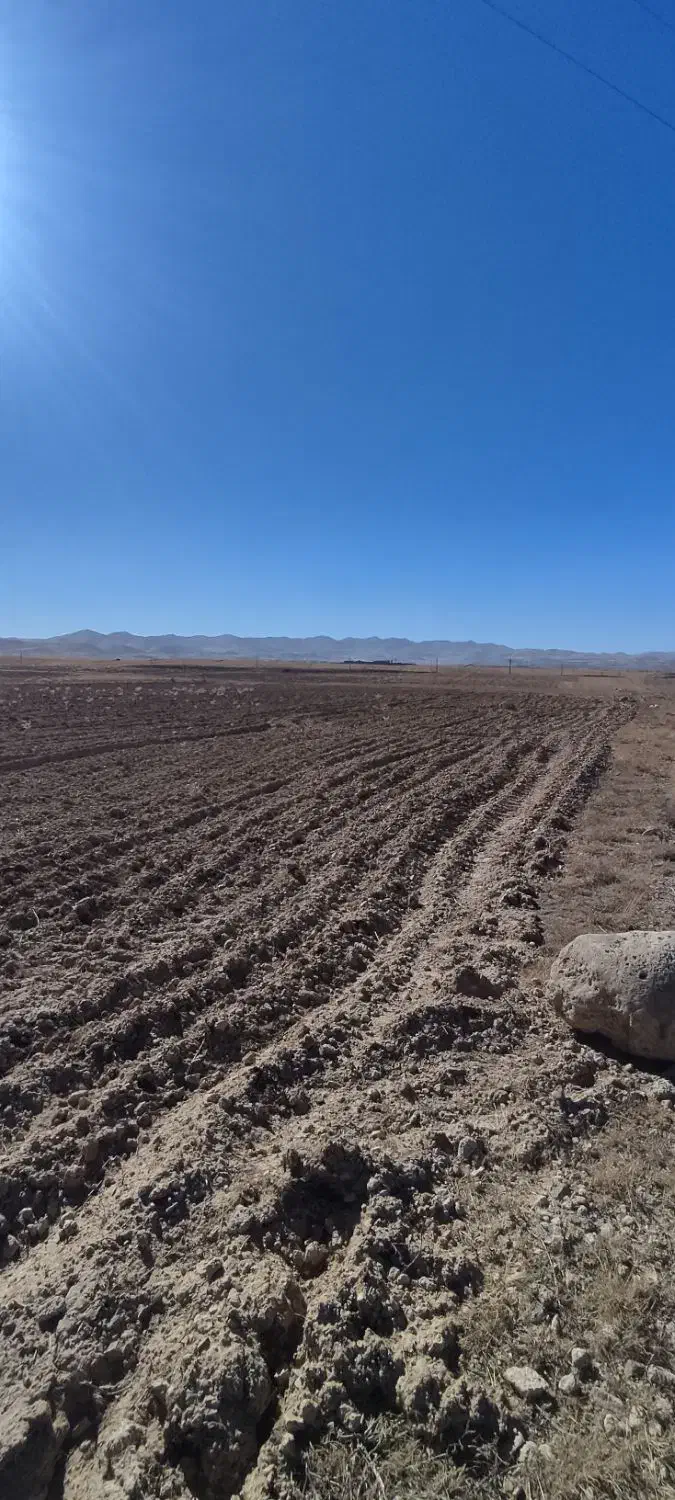 زمین کشاورزی|فروش زمین و ملک کلنگی|زنجان, |دیوار