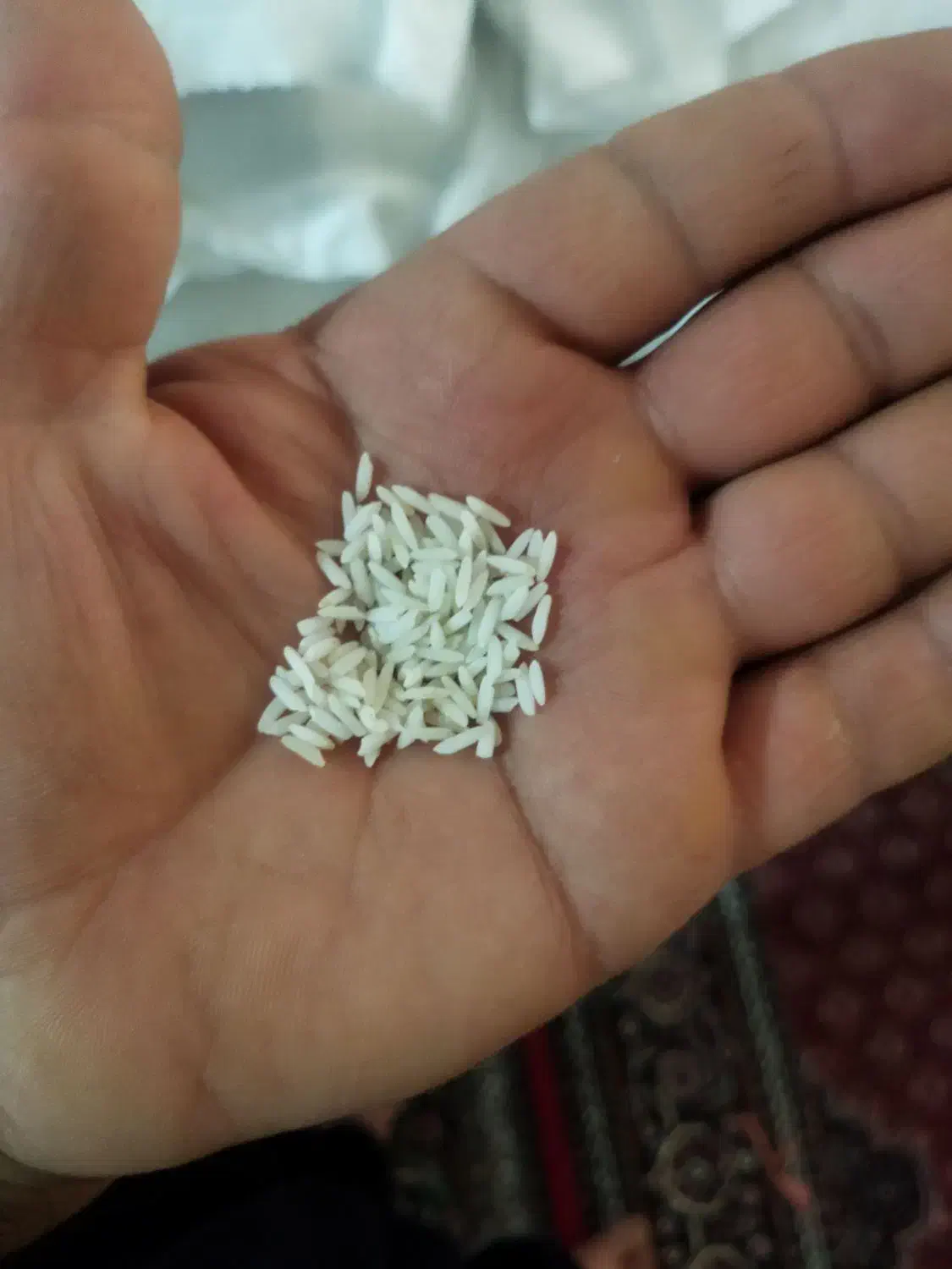 برنجمحلیدورود|خوردنی و آشامیدنی|سیلاخور, |دیوار