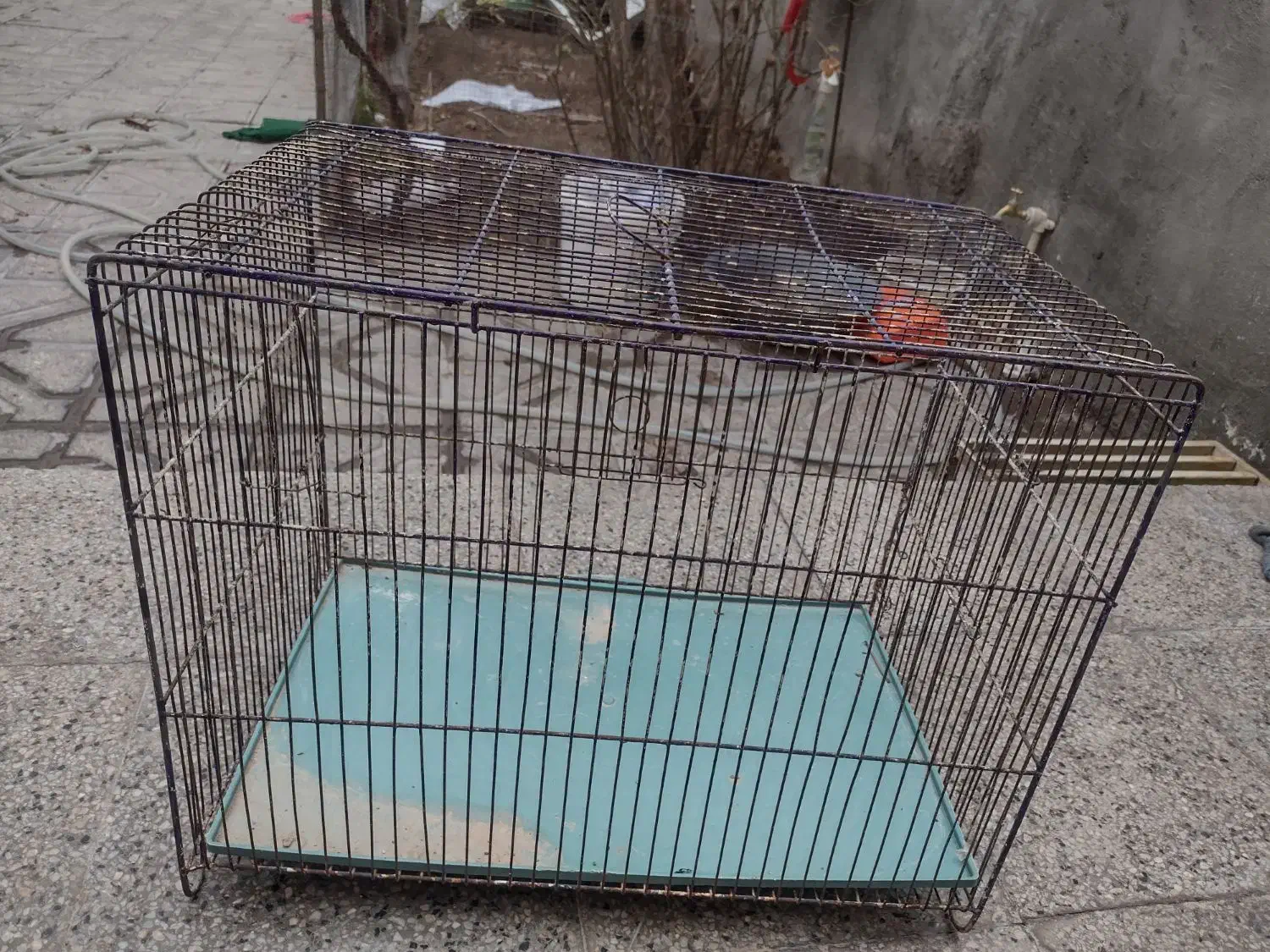 فروشی|لوازم جانبی حیوانات|بیرجند, |دیوار