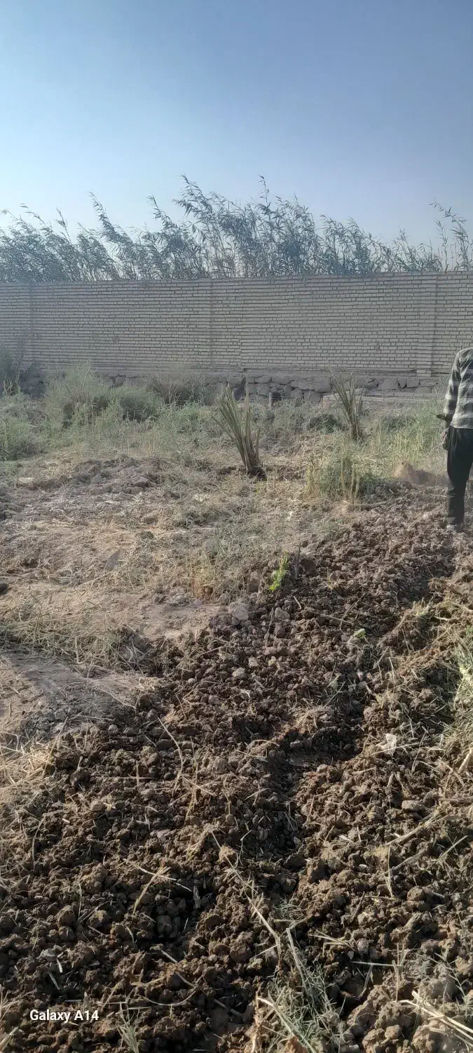 باغبانی و شخم با تیلر|خدمات باغبانی و درختکاری|آبادان, |دیوار