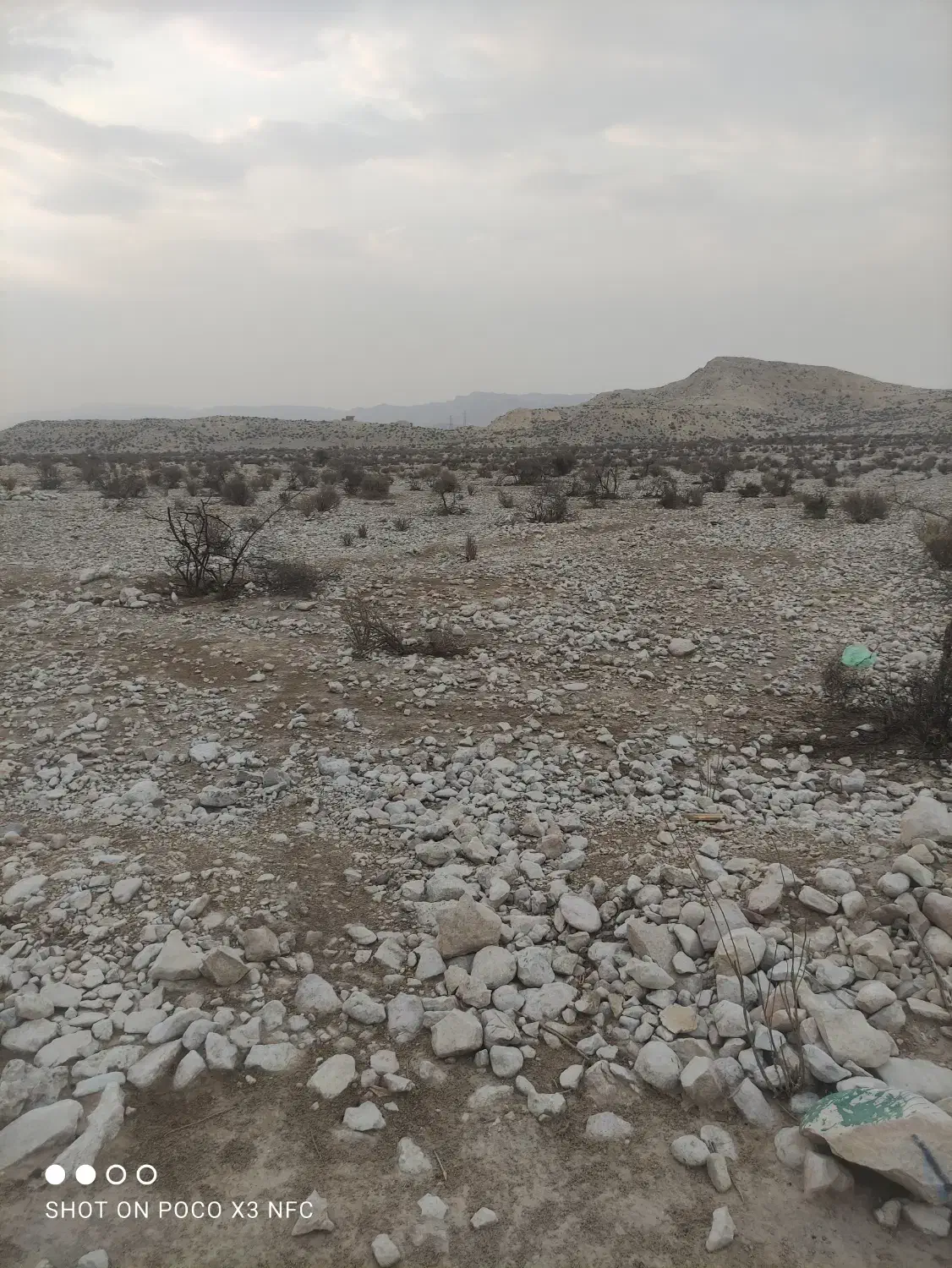 فروش زمین کشاورزی|فروش زمین و ملک کلنگی|جم, |دیوار