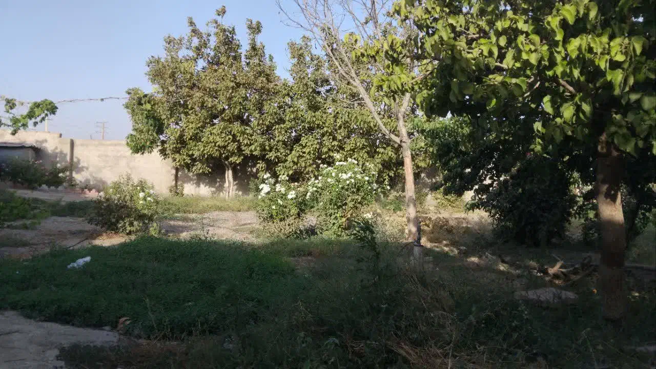 باغ در منطقه زیبادشت محمدشهر|فروش زمین و ملک کلنگی|محمدشهر, زیبادشت|دیوار
