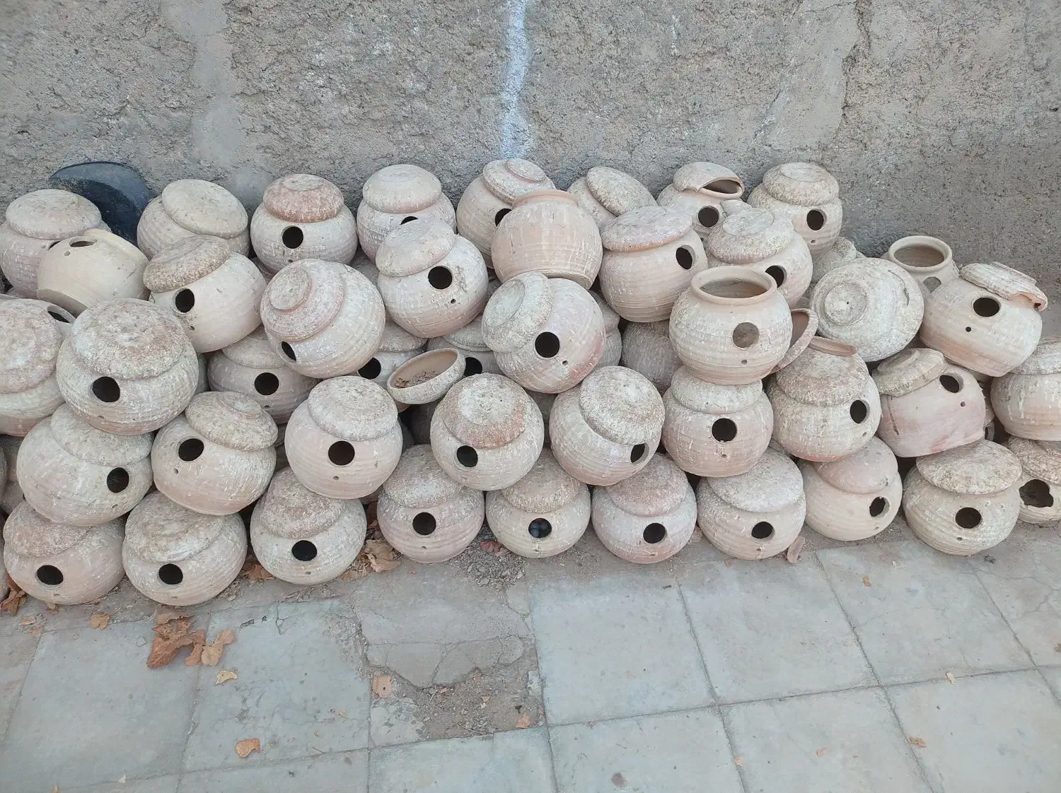 لونه پرنده|لوازم جانبی حیوانات|کرمان, |دیوار