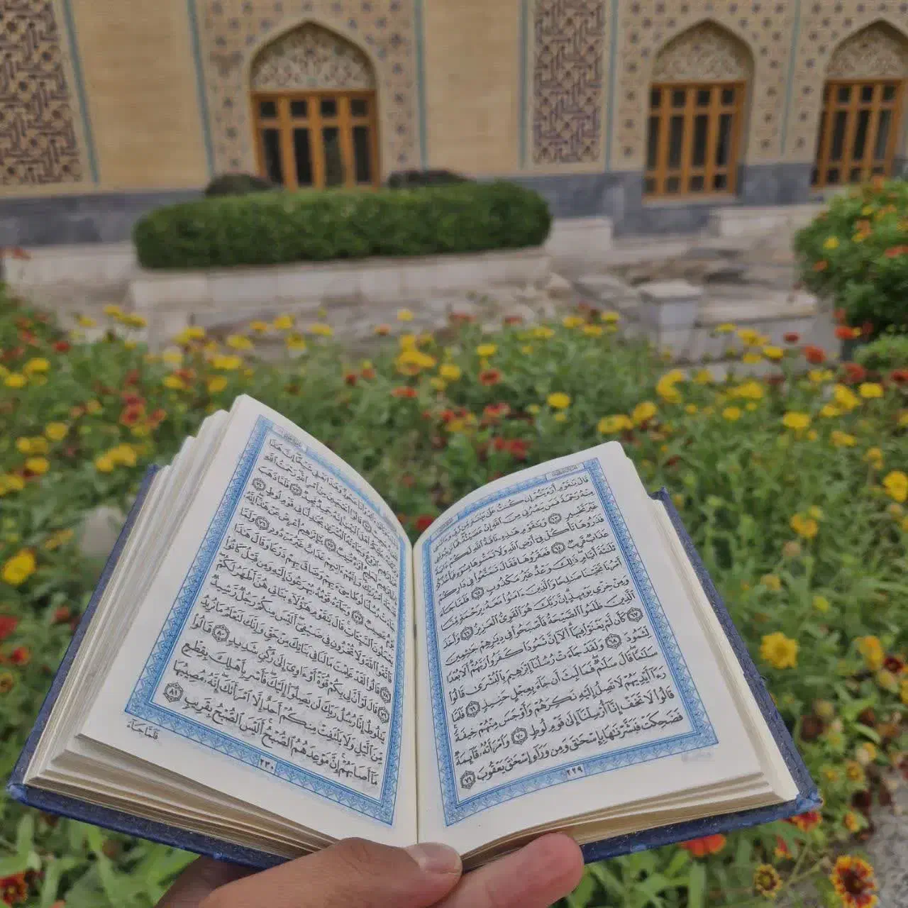 ختم قران حافظ قرآن برای شادی اموات و رفع مشکلات|خدمات پذیرایی، مراسم|خمینی‌شهر, |دیوار