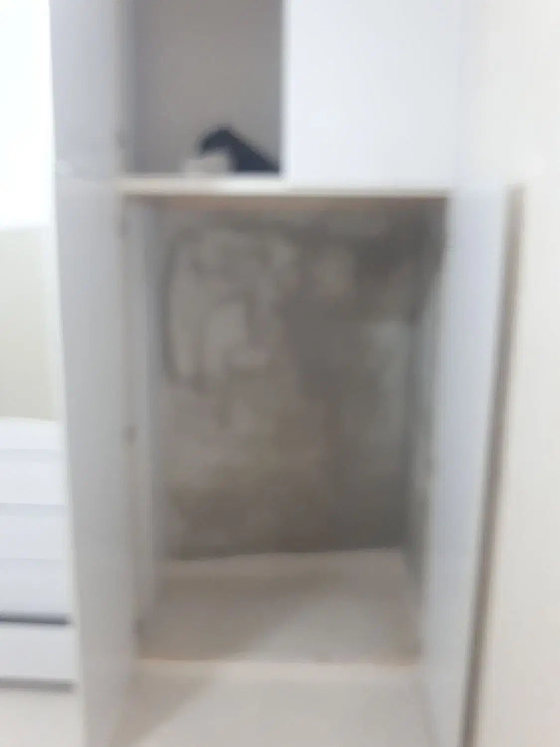 چسب عایق کاری نانو داخل منزل|خدمات پیشه و مهارت|صومعهسرا, |دیوار