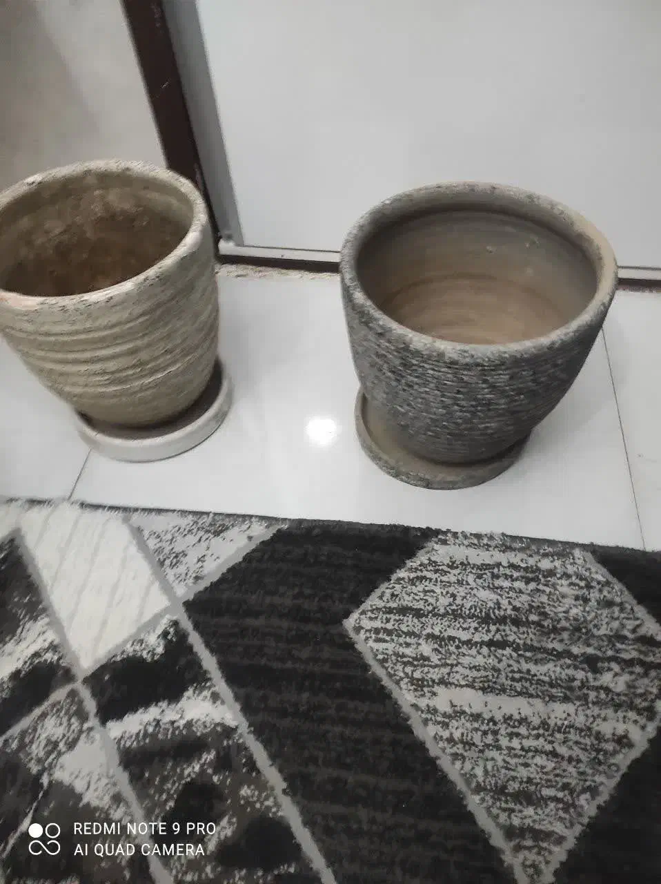 گلدون سفالی|گل و گیاه طبیعی|تهران, شهرک رضویه|دیوار