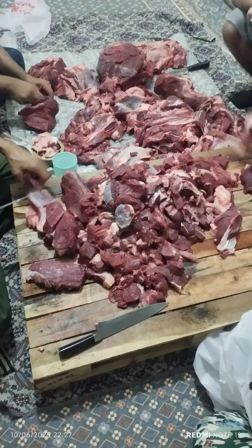 قصاب هستم|خدمات پذیرایی، مراسم|زاهدان, |دیوار