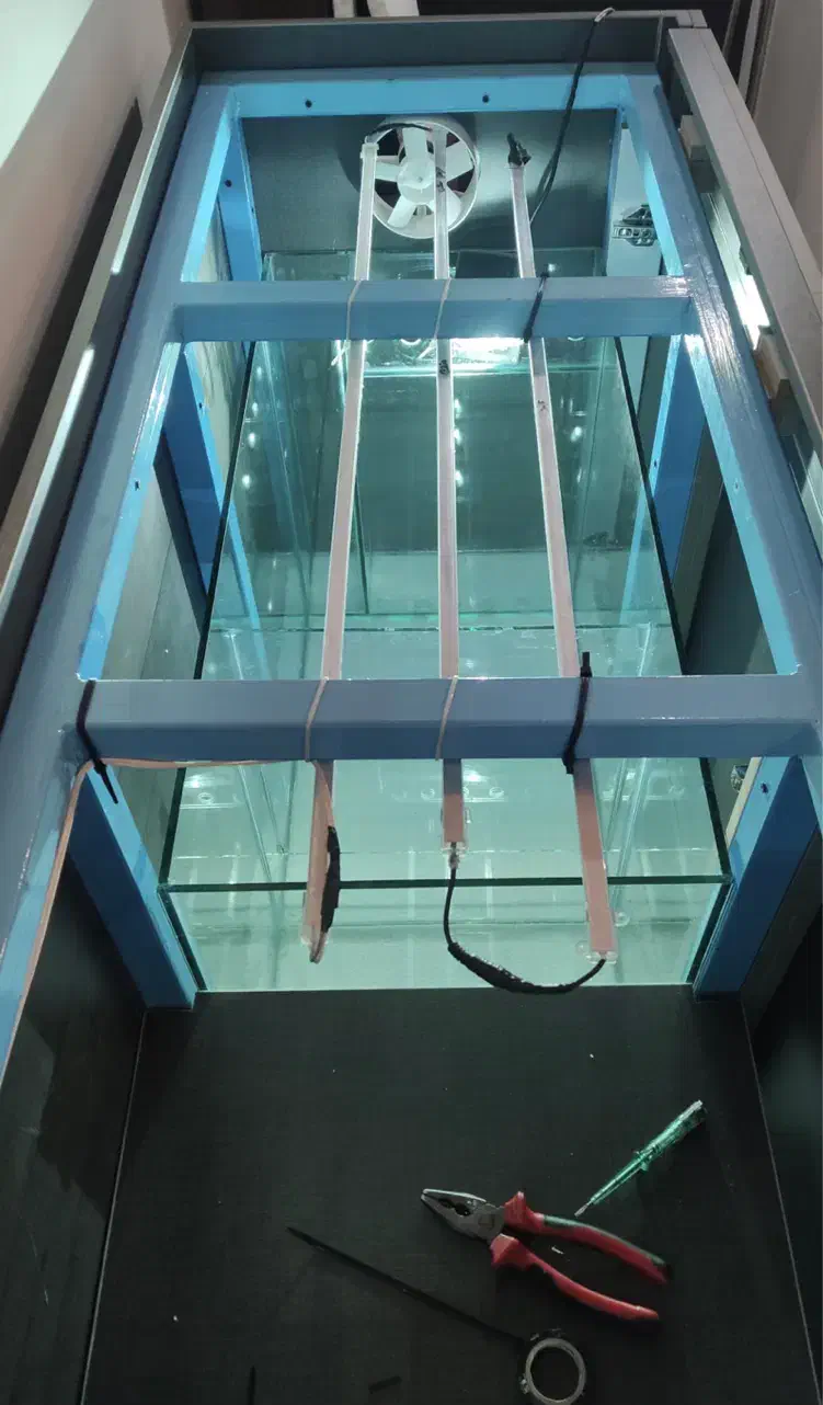 آکواریوم حرفه ای آب شور و شیرین|ماهی|بابلسر, |دیوار