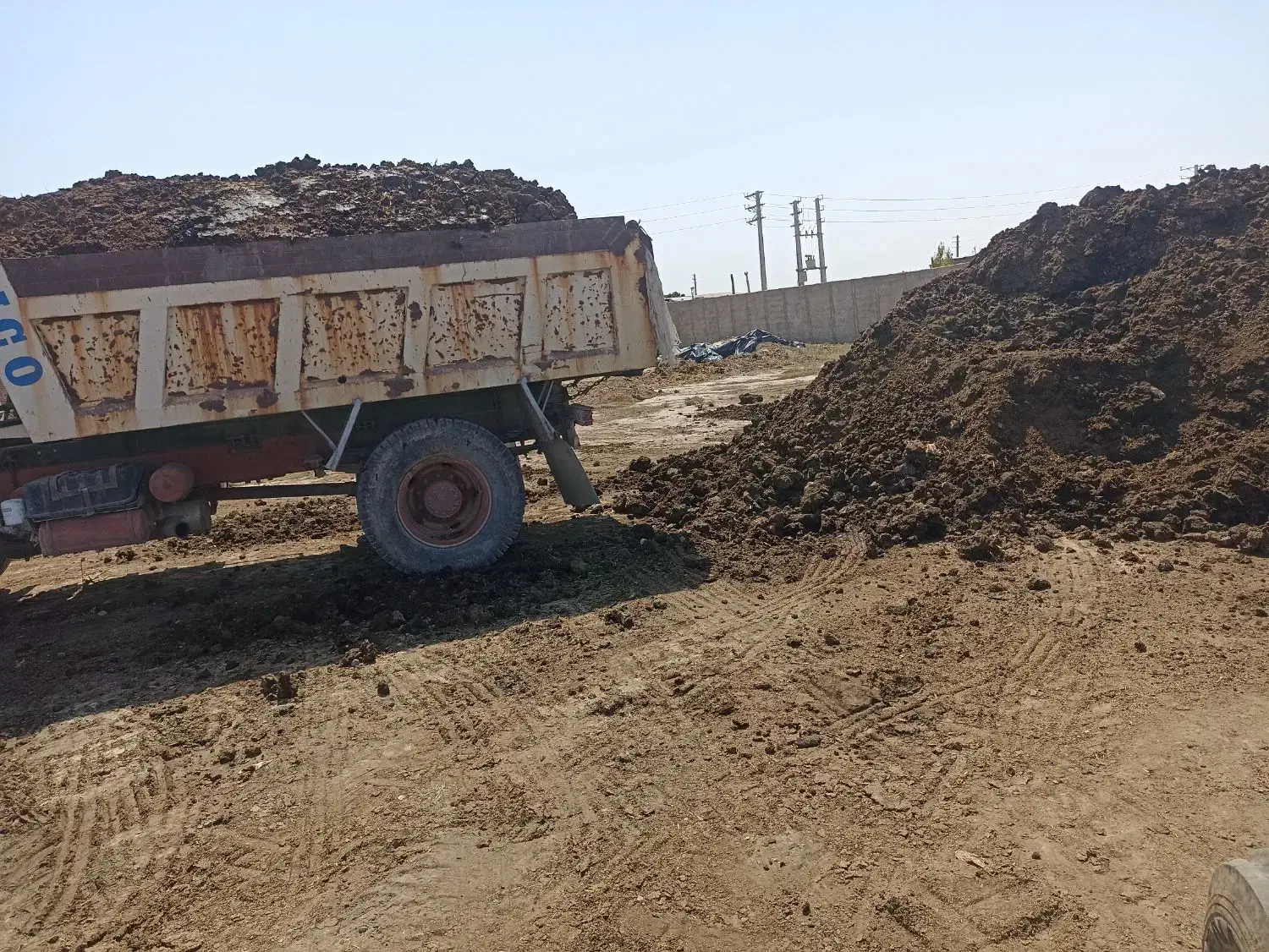 کود حیوانی کود پوسیده|خدمات باغبانی و درختکاری|رباطکریم, رباطکریم|دیوار