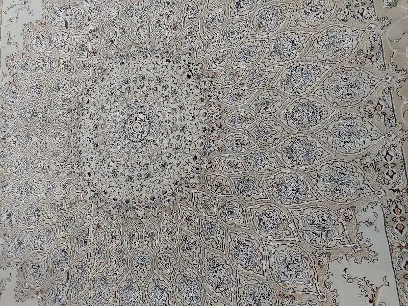 قالی ۱۲ متری|فرش|باوی, |دیوار