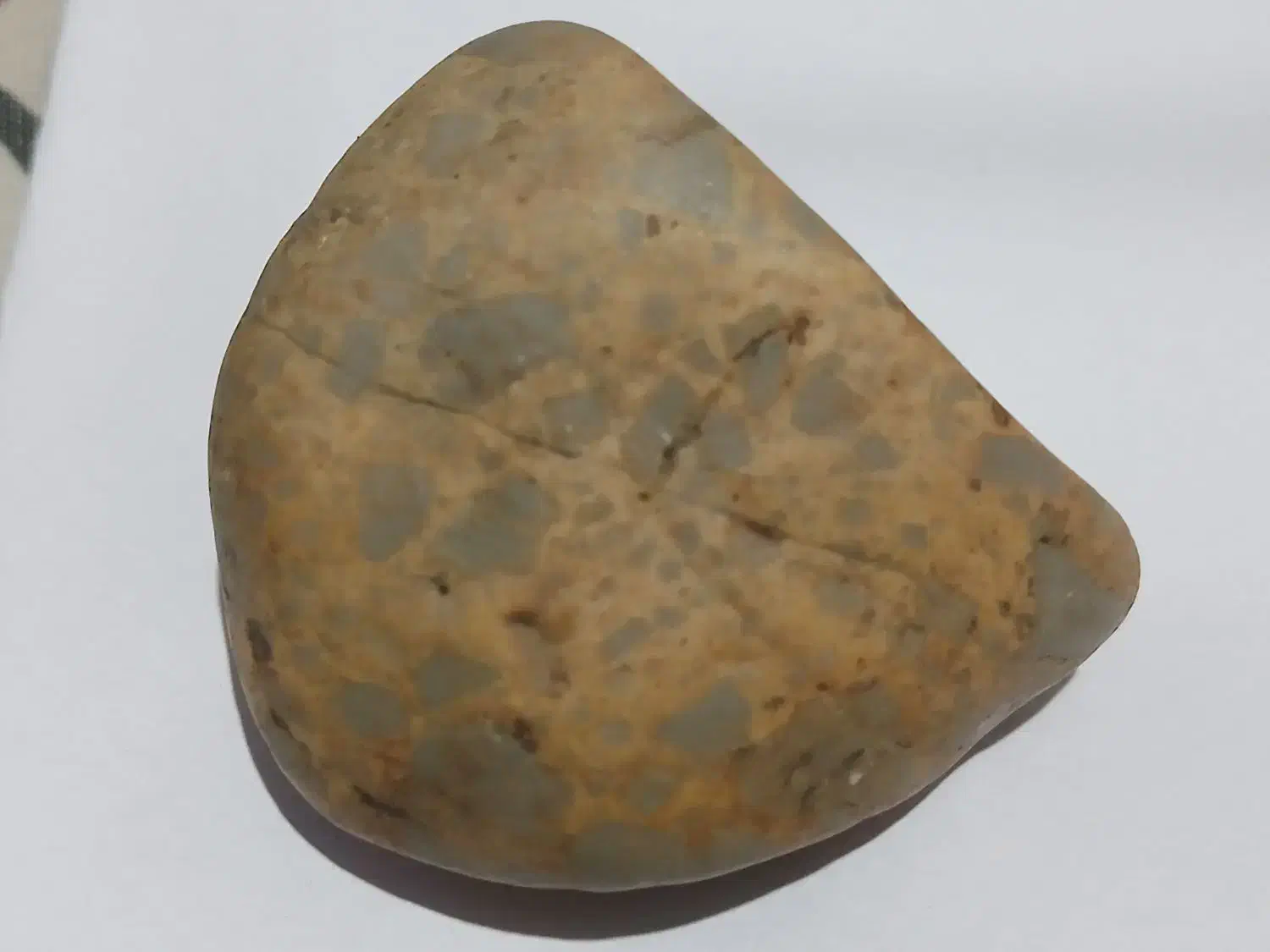 شهاب ها|کلکسیون اشیاء عتیقه|تاکستان, |دیوار