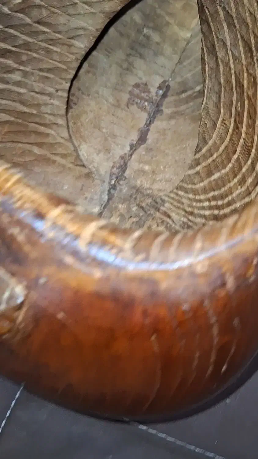 تار قدیمی|سازهای سنتی|تهران, شهرک دانشگاه|دیوار