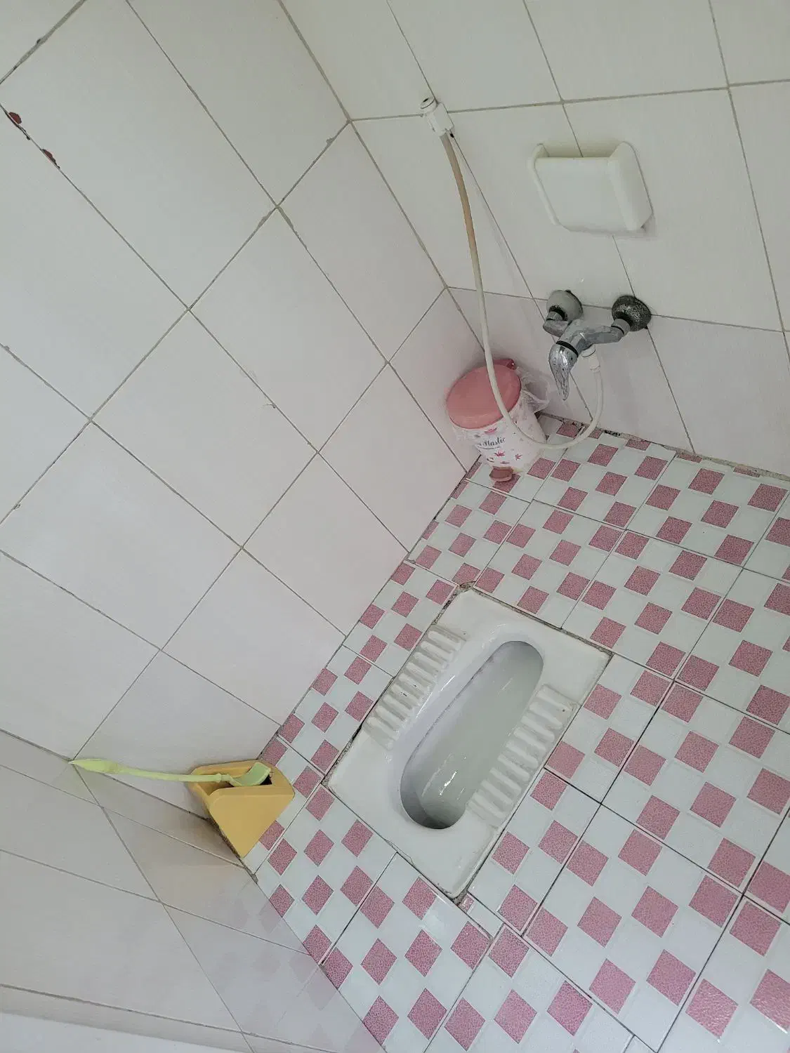 اجاره ویلای جنگلی|اجارهٔ کوتاهمدت ویلا و باغ|رشت, گیل|دیوار