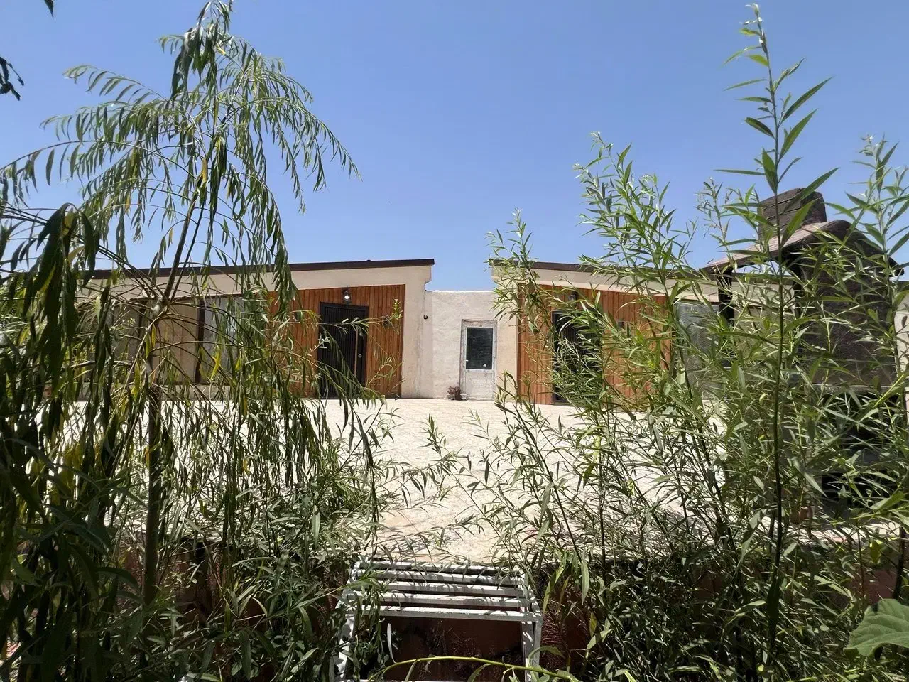 باغ بادام با درختان ۳ ساله جنب کافه و باشگاه اسب|فروش زمین و ملک کلنگی|شهریار, شهریار|دیوار