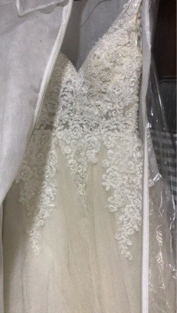 لباس عروس|لباس|قائم‌شهر, |دیوار