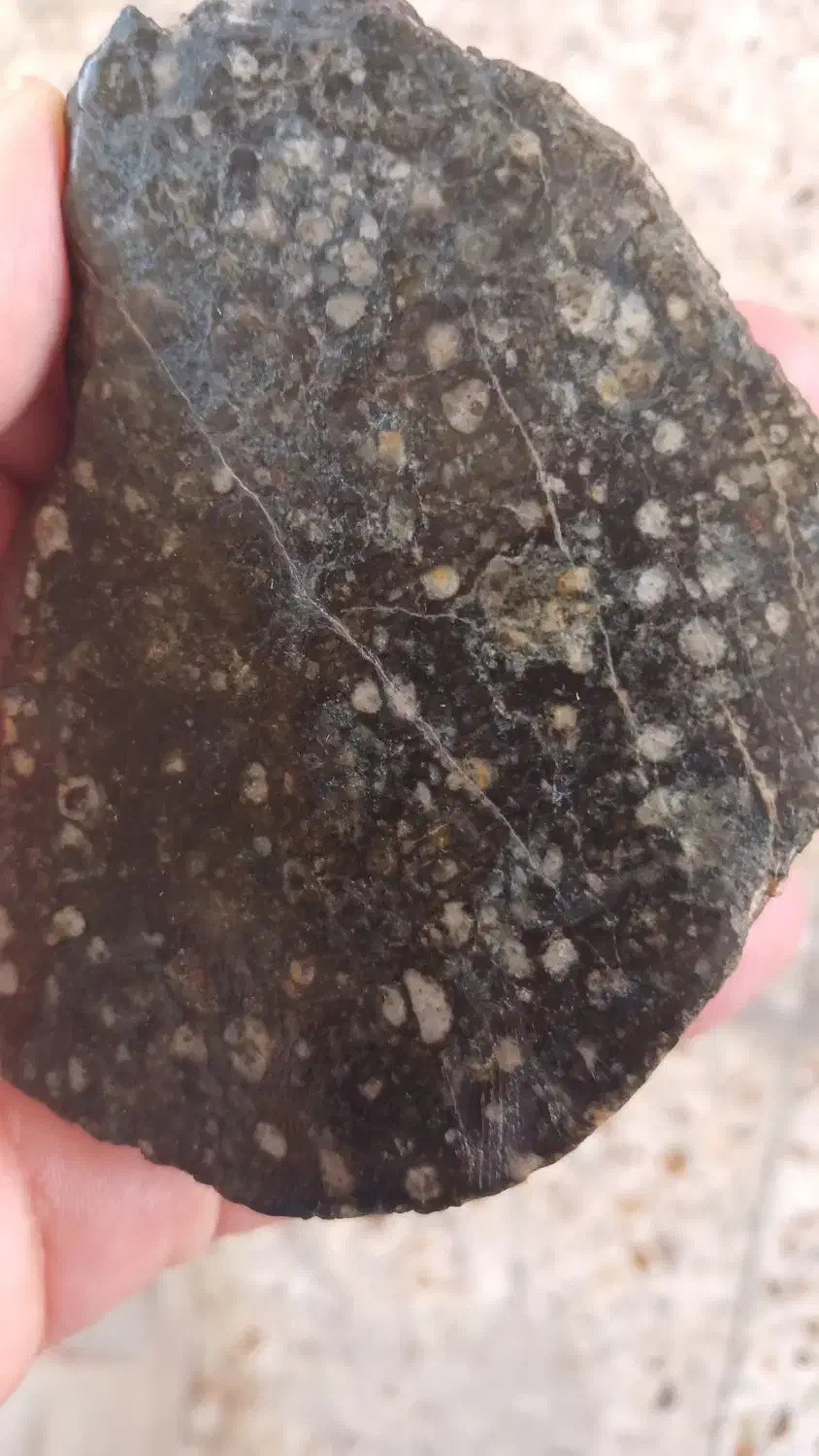 شهاب‌سنگ قمری ظفار عمان|کلکسیون اشیاء عتیقه|تهران, سازمان برنامه جنوبی|دیوار