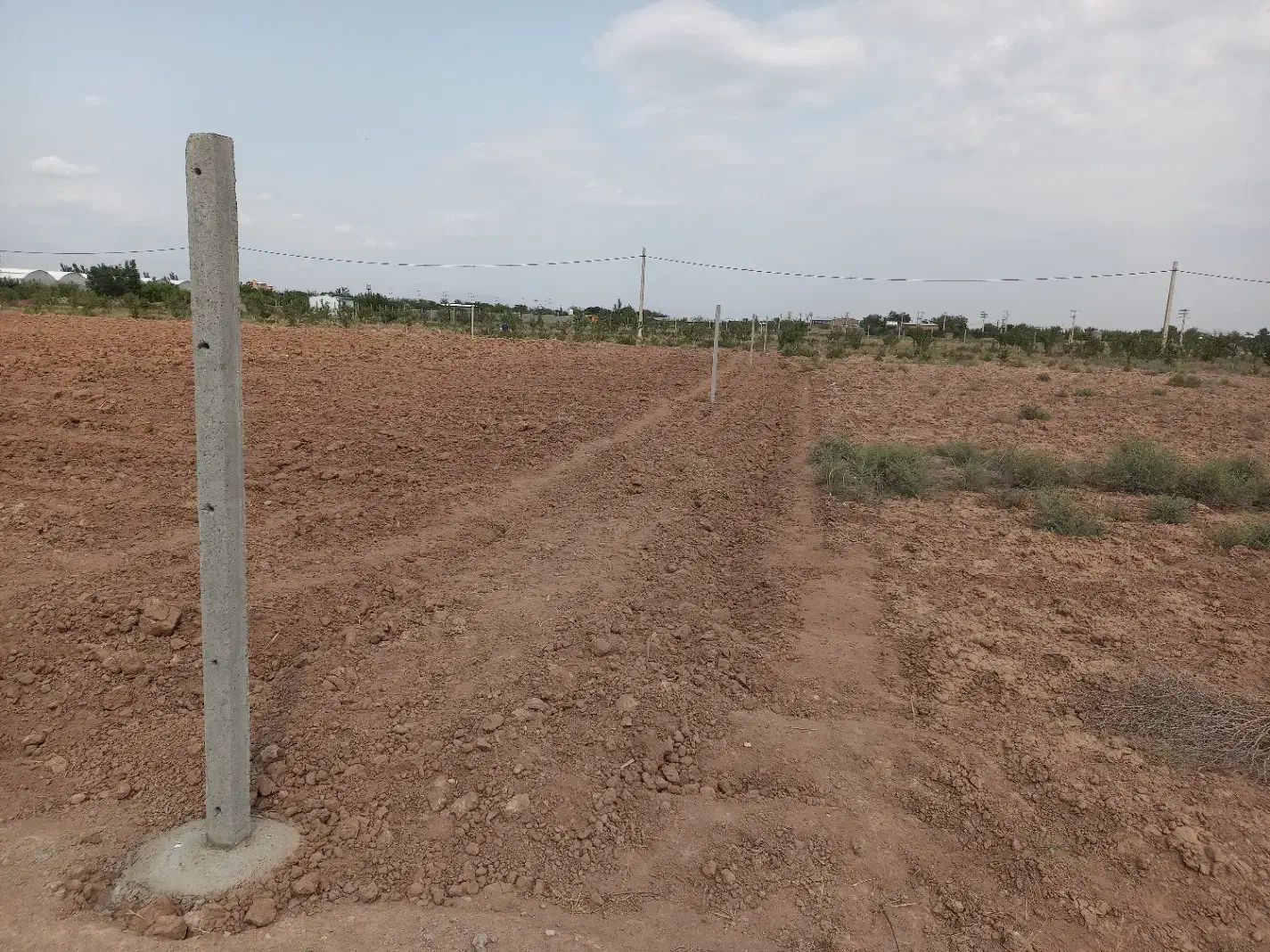 فروش زمین کشاورزی|فروش زمین و ملک کلنگی|نظرآباد, خسروآباد|دیوار