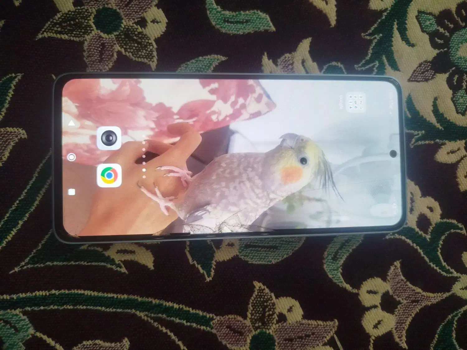 گوشی شیائومی نوت ۱۳|موبایل|کرمان, |دیوار