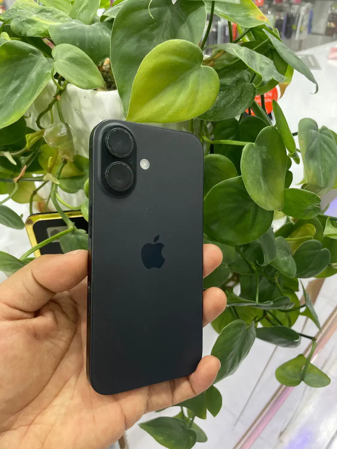 ایفون ۱۶ نرمال|موبایل|سیرجان, |دیوار