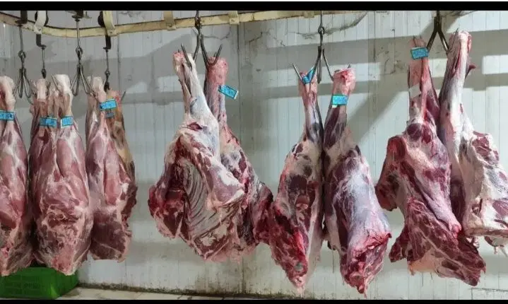 گوشت گوساله گرم کشتار روز زیر قیمت مغازه|خوردنی و آشامیدنی|تهران, کاج|دیوار