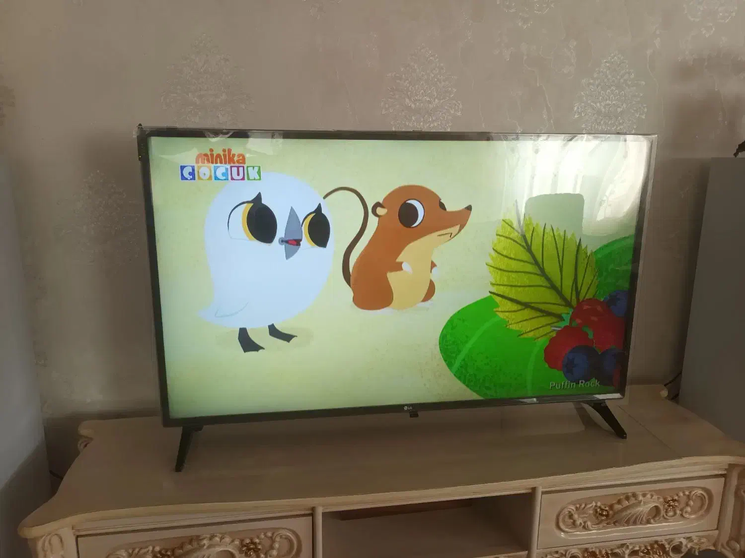 تلویزیوLG49|تلویزیون و پروژکتور|باسمنج, |دیوار