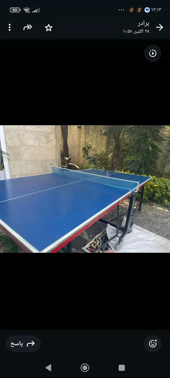 میز پینک پنگ فردوس|تجهیزات ورزشی|چالوس, |دیوار