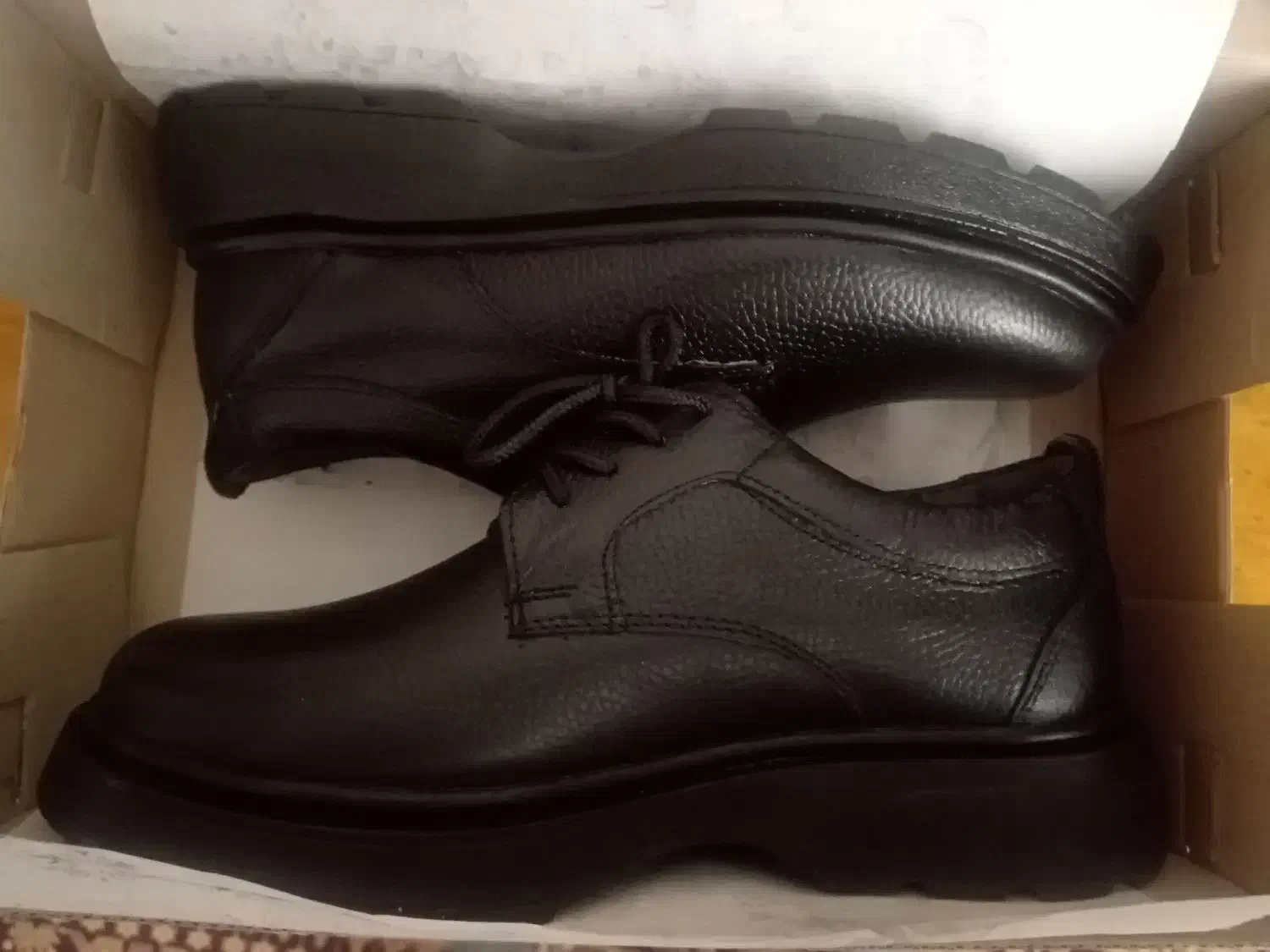 کفش|کیف، کفش، کمربند|بیرجند, |دیوار