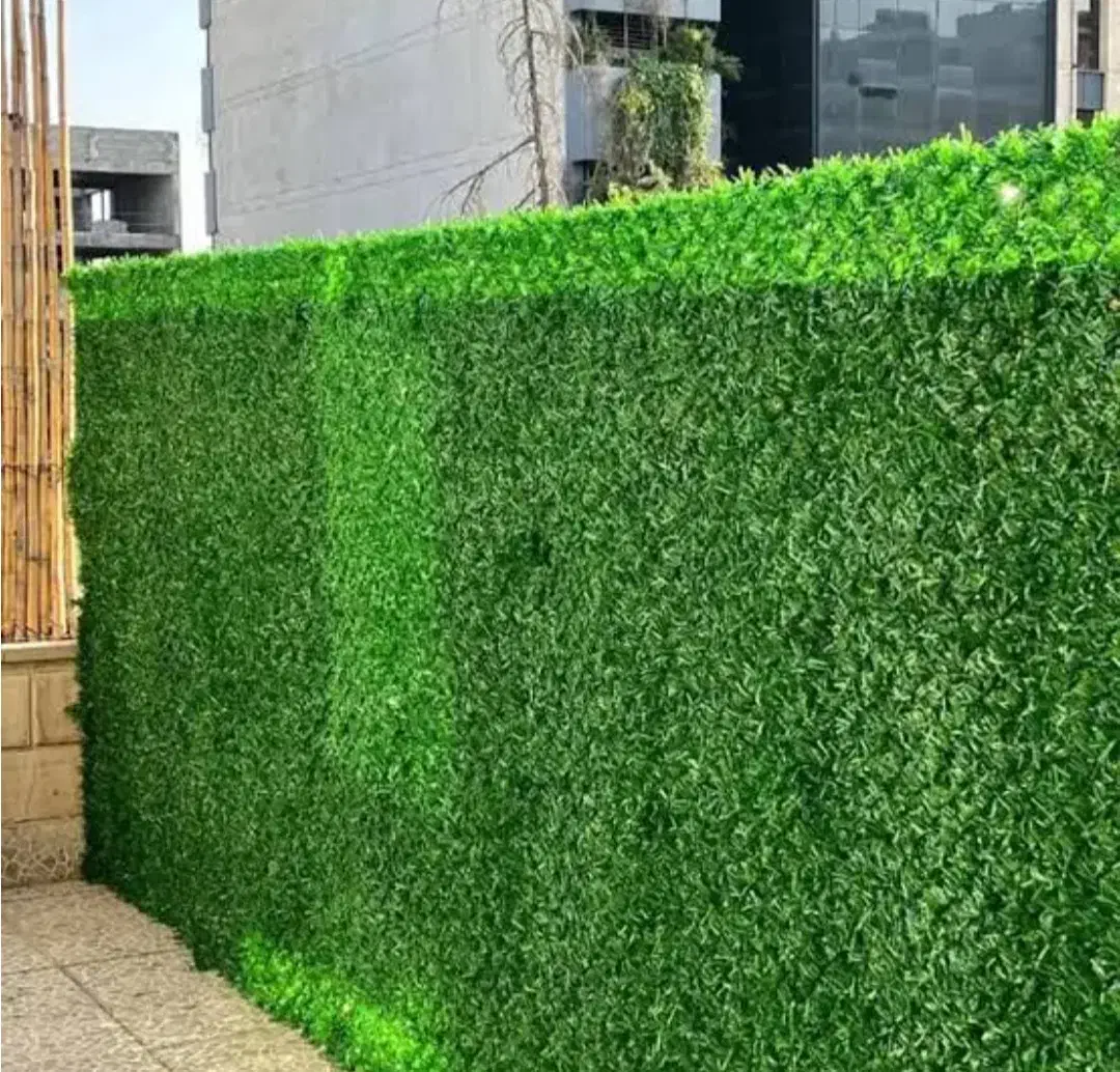 تراس ...|خدمات پیشه و مهارت|دورود, |دیوار