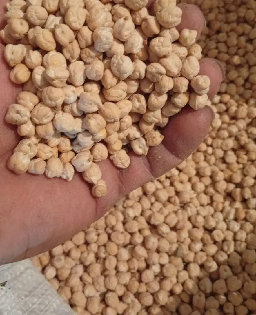 نخود گکسو|خوردنی و آشامیدنی|روانسر, |دیوار