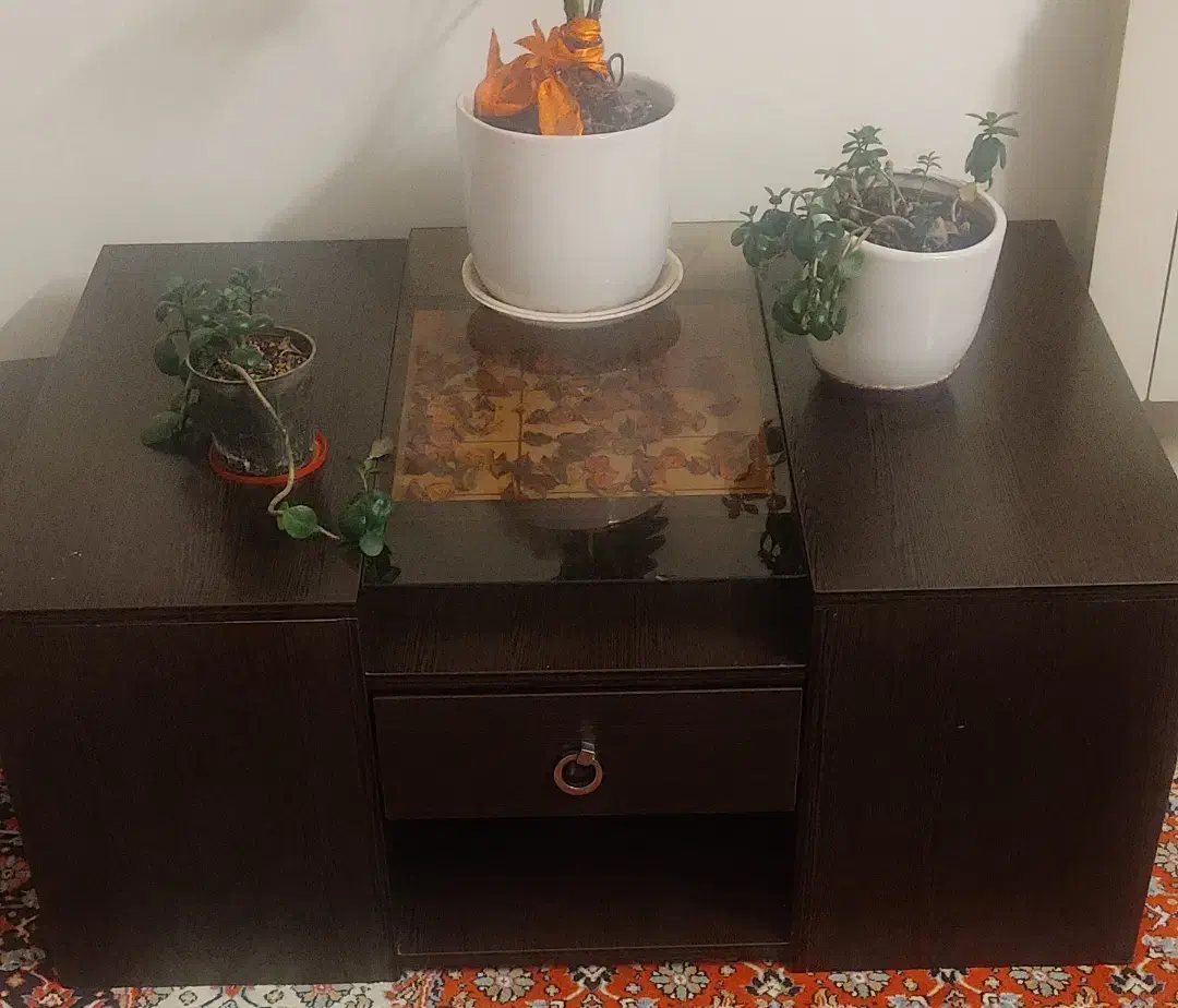 میز جلو مبلی|مبلمان خانگی و میز عسلی|بجنورد, |دیوار