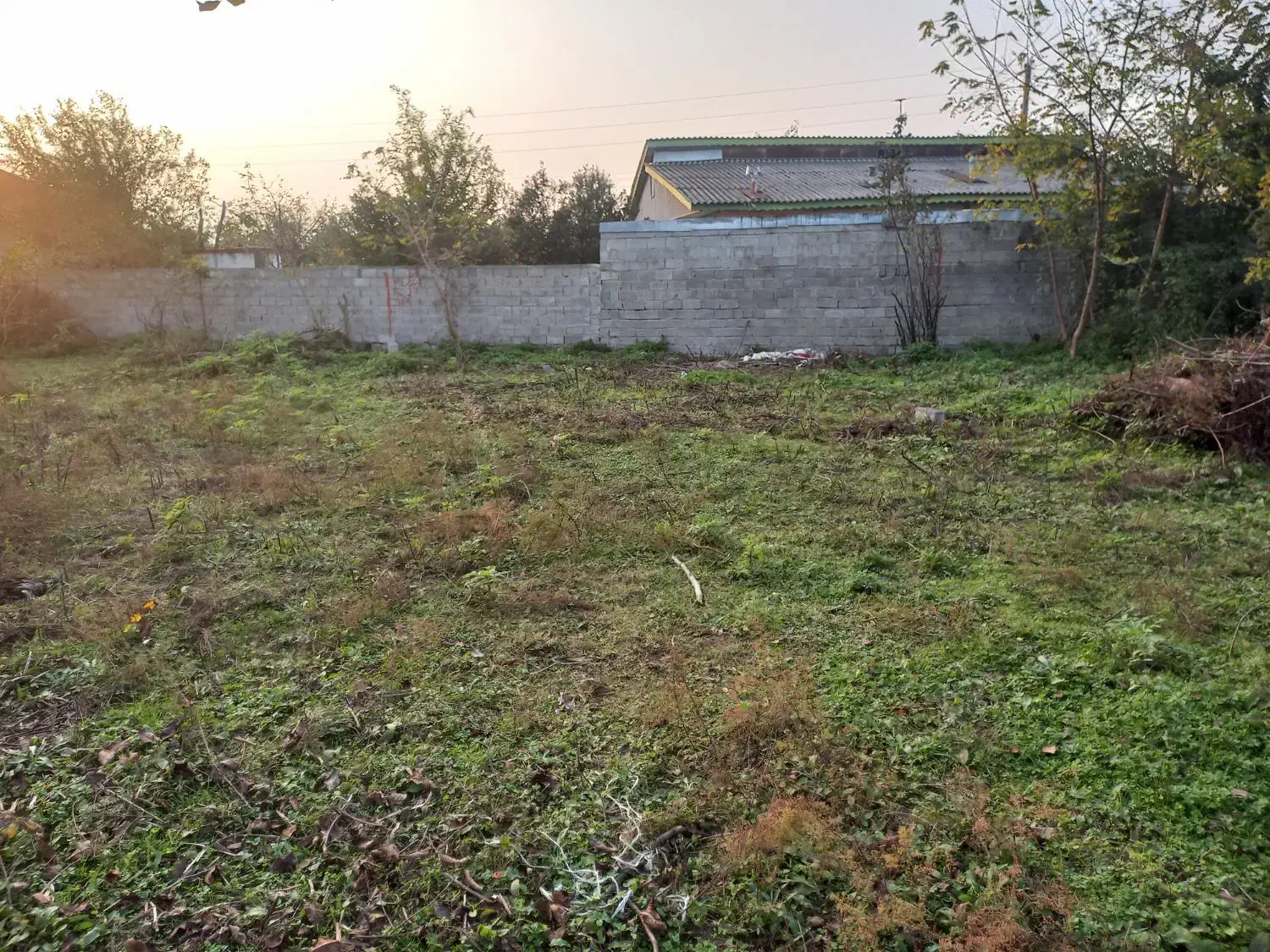 ۲۵۰ متر زمین مسکونی روستایی.سند تک برگ|فروش زمین و ملک کلنگی|رضوانشهر, |دیوار