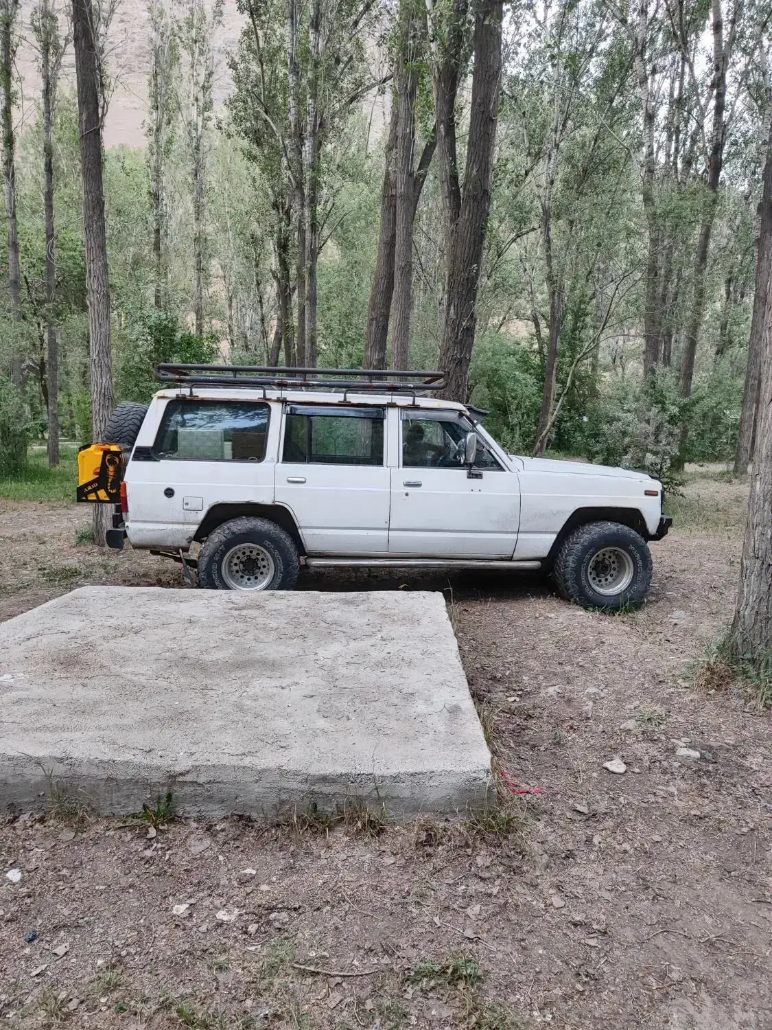 پاترول ۴ در ۶ سیلندر|خودرو سواری و وانت|تهران, پیکان شهر|دیوار