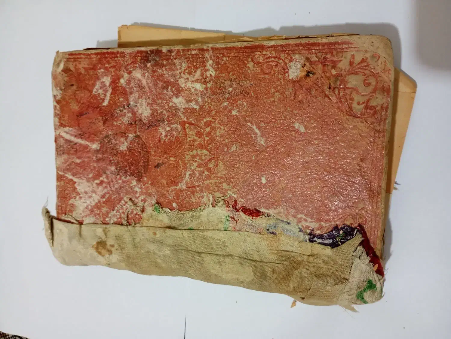 کتاب راهنمای نجات از مرگ مصنوعی|کتاب و مجله تاریخی|مشهد, رضاشهر|دیوار