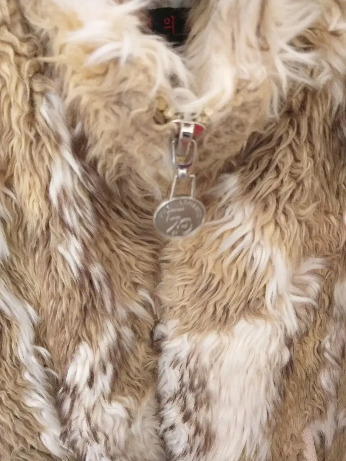 جلیقه|کفش و لباس بچه|قم, چهار امامزاده|دیوار