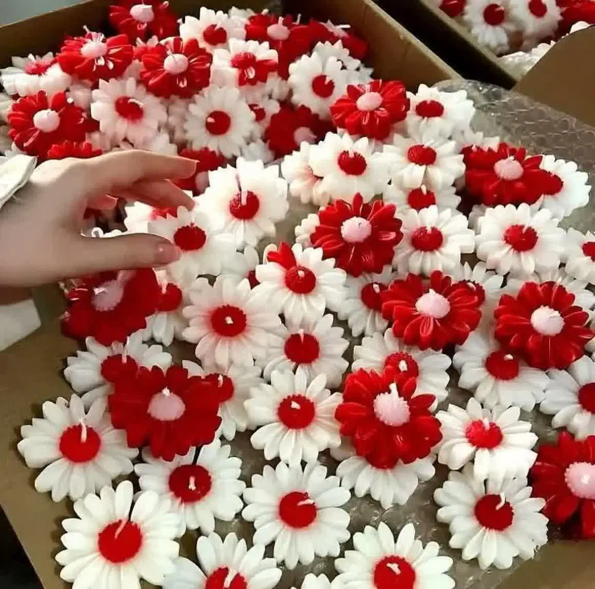 گیفت یلدایی مدارس|صنایع دستی و سایر لوازم تزئینی|زاهدان, |دیوار