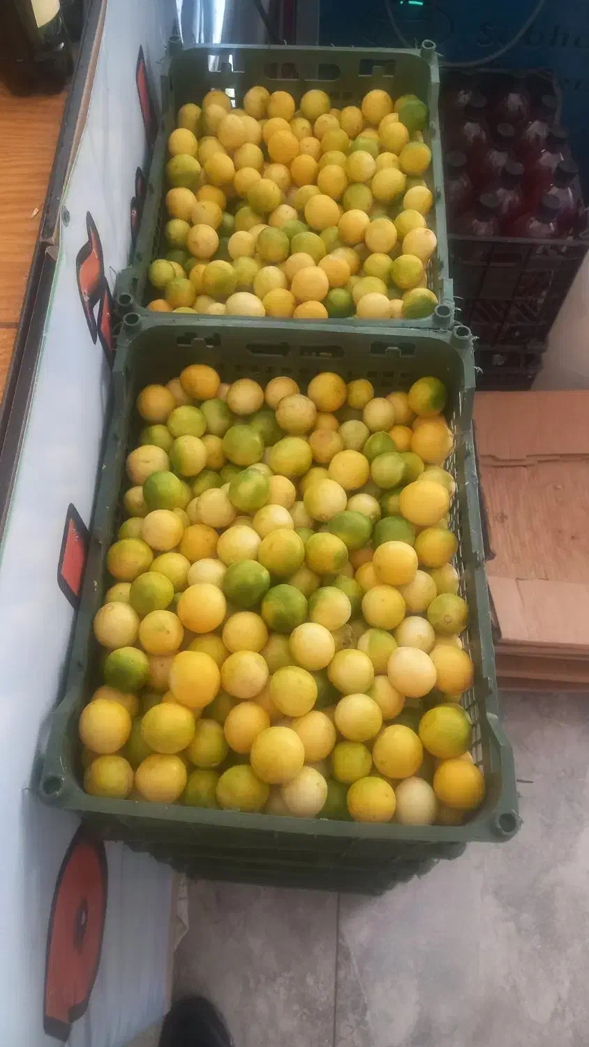 آبلیمو وآبغوره گیری مهدی|خوردنی و آشامیدنی|مشهد, هنرستان|دیوار