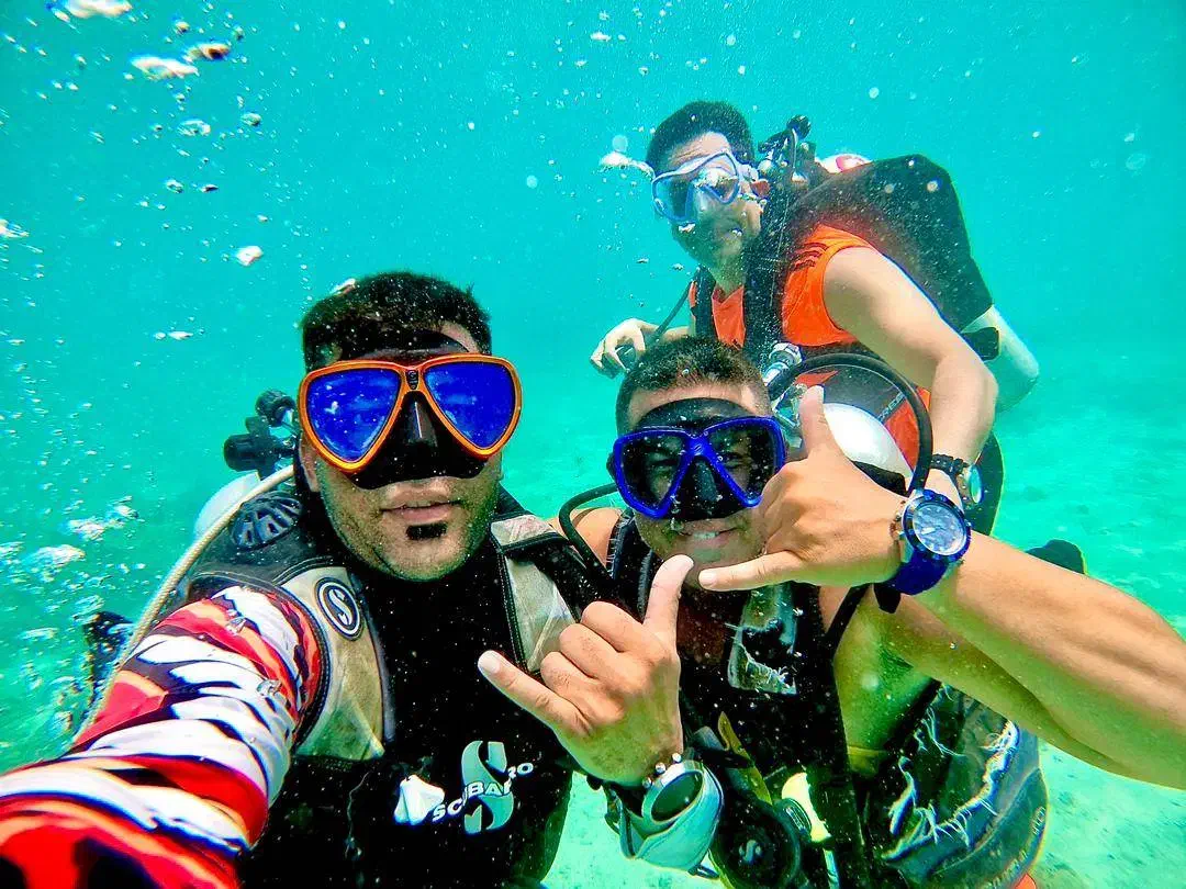 آفر ارزانترین تور و بلیط *مشهد*کیش*قشم*چابهار|تور و چارتر|کرج, گوهردشت|دیوار