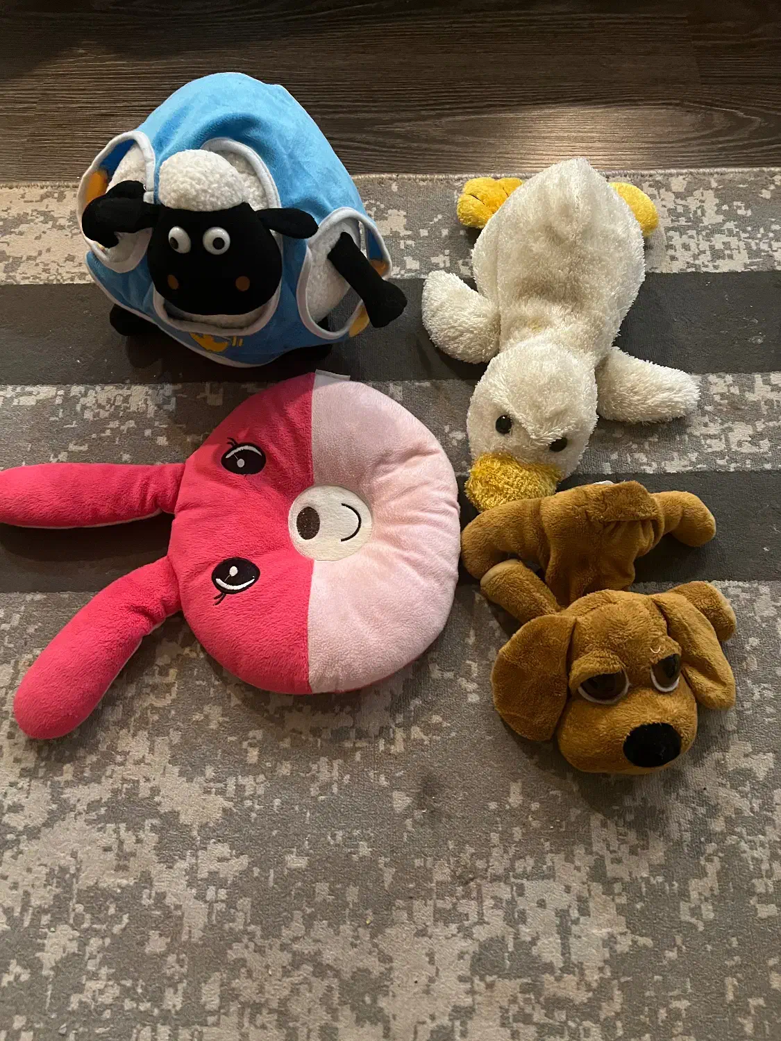 تعدادی عروسک|اسباب‌بازی بچه|رشت, معلم|دیوار